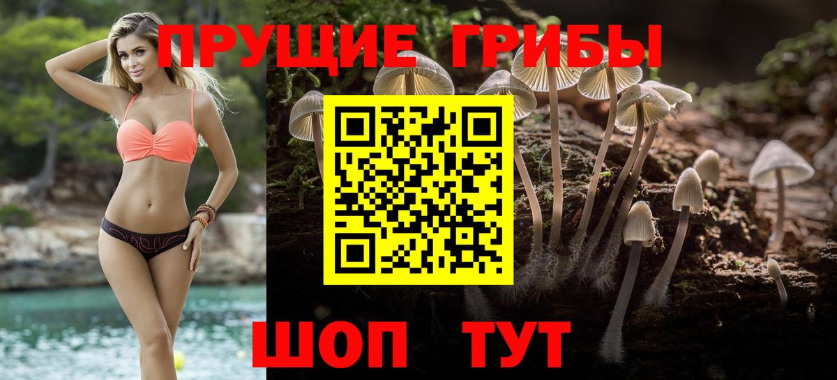 Троицк  Псилоцибиновые грибы MAGIC MUSHROOMS  Вход с VPN 
